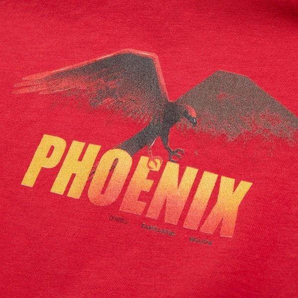 Fantastic Beasts Phoenix Kids' T-Shirt - Red 5 Fantastic Beasts Phoenix Kids' T-Shirt - Red - Image 3